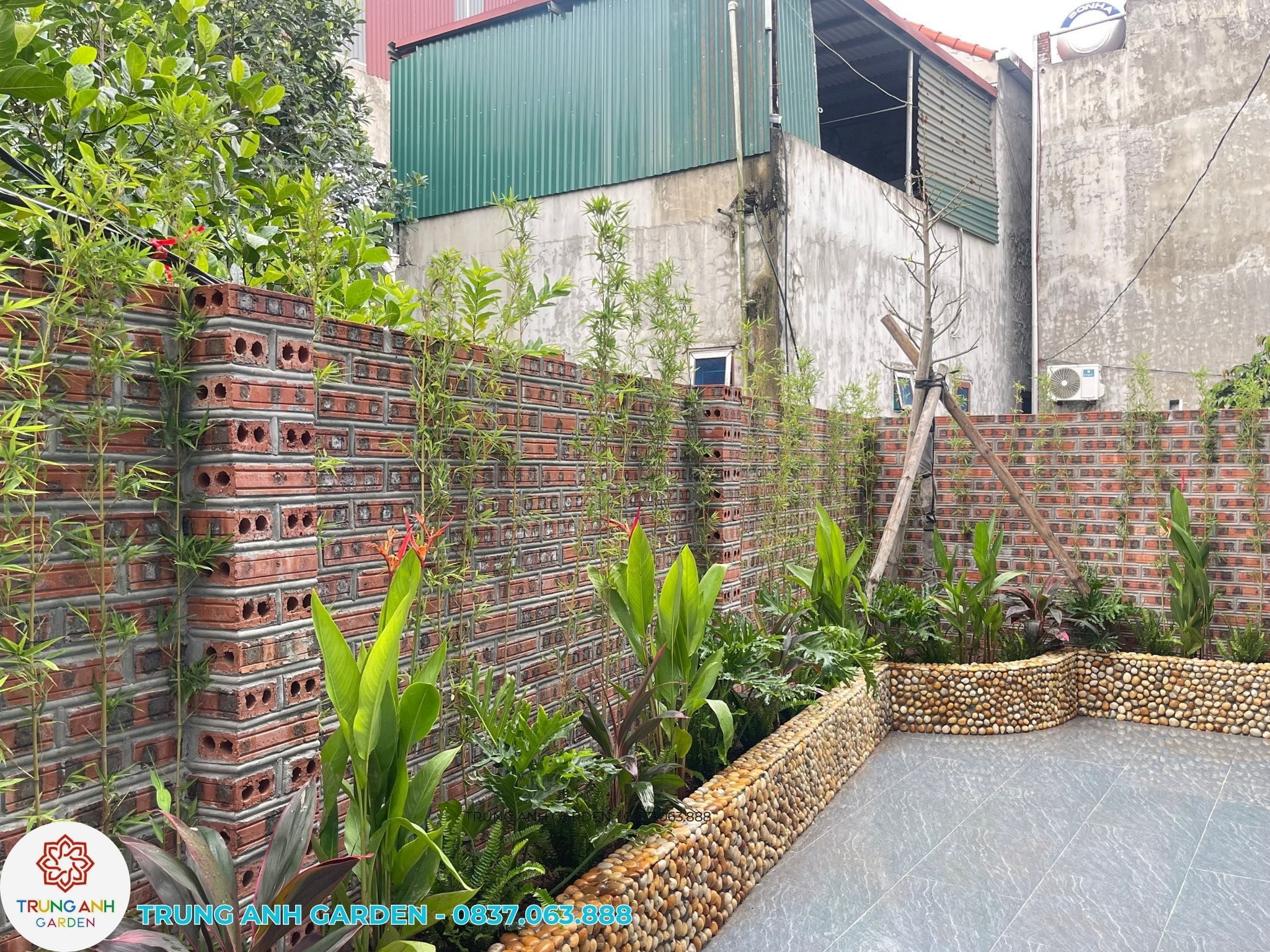 Tường Cây Cảnh Tự Nhiên Cho Góc Nhà